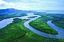 Daintree River
