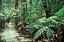 3 Day Guided Safari of Fraser Island (Kingfisher Lodge, quad share)