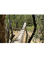 75 Metre Swinging Footbridge At Rocky Station