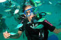 5 Day PADI Open Water Course/ Day Reef Trips