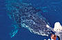 Whale Watching (half day) - 1 June - 30 Oct 2011