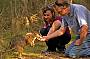 Hand feed kangaroos