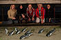 Penguin Parade Summerland Beach