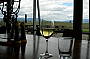 Enjoying a glass of wine at one of the many wineries