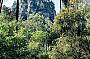 5 Day Carnarvon Gorge Tour