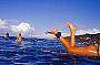 Great surfing 