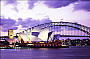 Christmas Party Cruise Comedy Salsa Dinner Show & Drinks