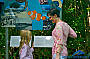 Visit the Rainforest Interpretive Centre
