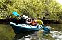 Dolphin Sanctuary Kayaking Tour AM