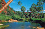Beautiful Palm Valley