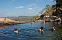 Kakadu