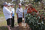 On tour in the plantation
