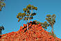 Gosse Bluff - The Red Centre Way