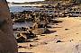 Search rock pools 
