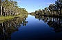 Noosa River and Everglades BBQ Lunch Cruise