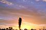 Olgas Sunrise