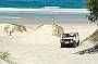 Full Day Whales Adventure- Season starts 26 May 2012