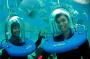 Helmet Diving