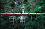 Kuranda Scenic Railway passing Stoney Creek Falls