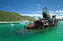 Dolphin Wild Island Cruises