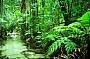 3 Day Guided Discovery Safari of Fraser Island (Kingfisher Lodge, twin share)