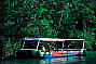 Cape Tribulation & Daintree Starter Pak Day Tour