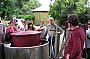 Arranmore Vineyard with Winemaker/Owner