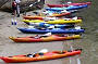 Southern Adventures Guided Kayak Eco-Tours