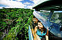 Kuranda Experience Skyrail & Train