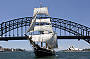 Southern Swan under the harbour Bridge