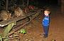 Wild animal safari by night