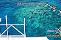 Standard Cruise Michaelmas Cay & Hastings Reef 
