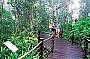 S1 - Skyrail/Kuranda/Train 