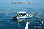 Standard Cruise incl. 1 Introductory Dive