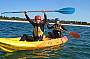 3HR Kayak with Dolphins, Snorkel with Turtles Tour