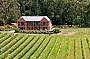 Mantons Creek WInery
