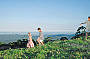 1 Day Mt Tamborine Rainforest / Australiana / Winery Tour 