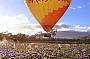 Extended Balloon Flight + OReillys Vineyard Champagne Breakfast
