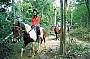 Half Day Horse Riding Tour (Morning Tour)