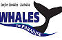 WHALES IN PARADISE / WHALE WATCHING & Canal Cruise BRISBANE Tour (05 Jun-Nov)