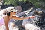 Friendly local wildlife at Freycinet National Park