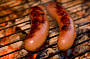 Sydney Harbour Daily sightseeing BBQ Cruise - Starts October 2011