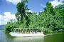 Daintree River Cruise