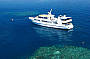 7 Day Cod Hole, Ribbon Reefs & Coral Sea - Quad Share ( Thursday Departure )