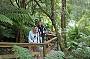 RAINFOREST WALK