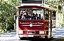 Trolley Bus on Tour