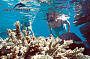 Snorkelling
