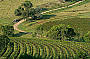Hunter Valley