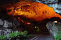 Jenolan Caves
