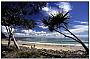 Noosa National Park